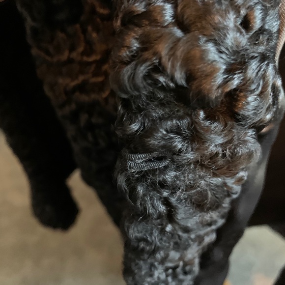 Persian lamb and mink fur coat - Picture 5 of 9